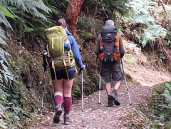 ルートバーントラック個人ウォーク