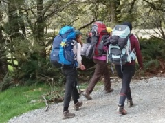 ルートバーントラック個人ウォーク